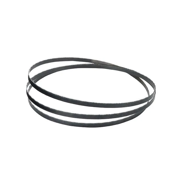 PROXXON BIM LINTZAAG VOOR MBS 240/E  1065X6X0,6 MM  28 172