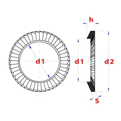 SLUITRING  PGB SCHNORR STAAL