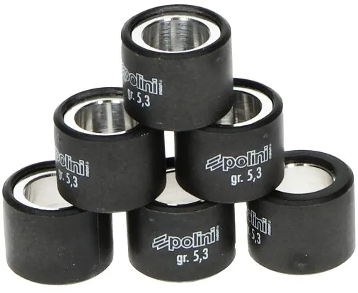 Variateur rollenset Polini 19x15.5mm 5,0 gram 242.082 Piaggio / Vespa / Malaguti 4t / Aprilia 4t / Derbi 4t